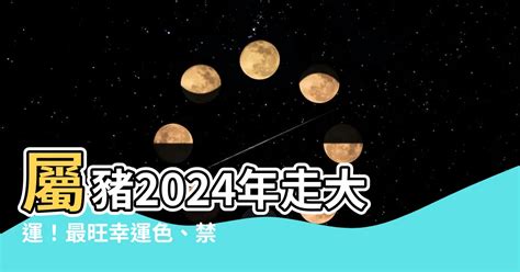 屬豬終身幸運色|【屬豬 顏色】速查2024屬豬運勢指南：幸運色、財位、禁忌